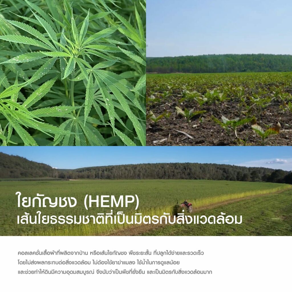 มูจิ ประเทศไทย ต่อยอดแนวคิดความยั่งยืนสู่สินค้าแฟชั่น ชูวัสดุ เส้นใยกัญชง เส้นใยถักทอความยั่งยืน เป็นผ้าทางเลือกใหม่สำหรับเสื้อผ้า MUJI